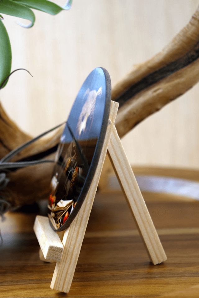 Round Coaster: Bear Seated at a Table with Teapot, Books & Fruits