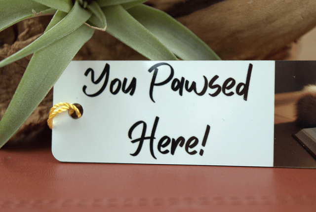 Ginger Kitten Aluminium Bookmark – ‘You Pawsed Here!’ Cute Cat Design 