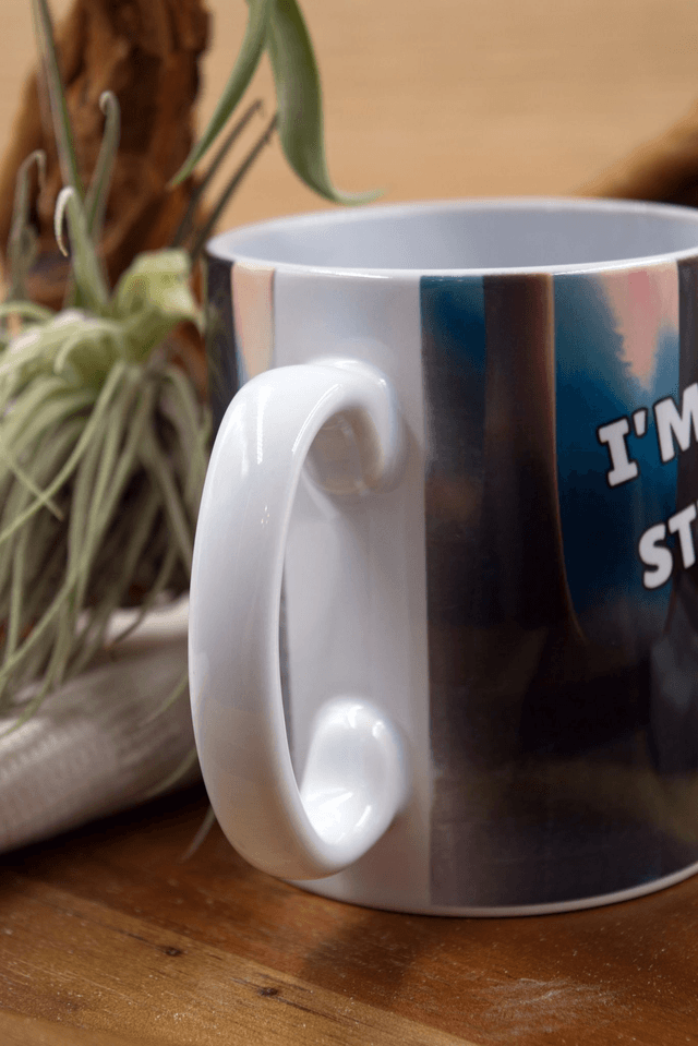Mug: Silhouette of a Dad and Three Children Walking into a Forest at Sunset Design "I'm not a stepdad, but I am a dad that stepped up"