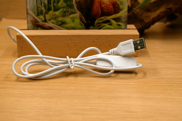 LED USB Lamp – Majestic Woodland Stag 