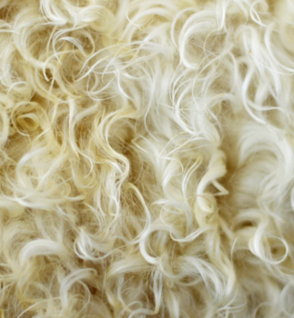 Sheep's wool - produces Lanolin 